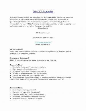 Great Resume Examples Graphic Designer Cv Example Best Of Great Resume Samples Beautiful