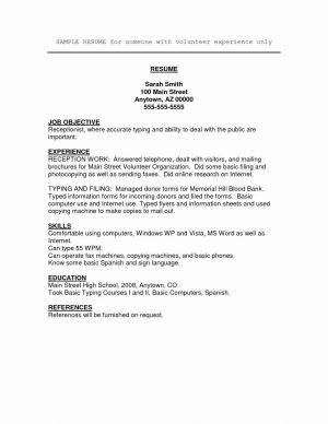 Great Resume Examples Hairstyles Basic Resume Examples Great Resume Examples Volunteer