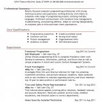 Great Resume Examples Hairstyles Freelance Cv Sample Fab Security Resume Examples Best Great Resume Examples 2012 great resume examples|wikiresume.com