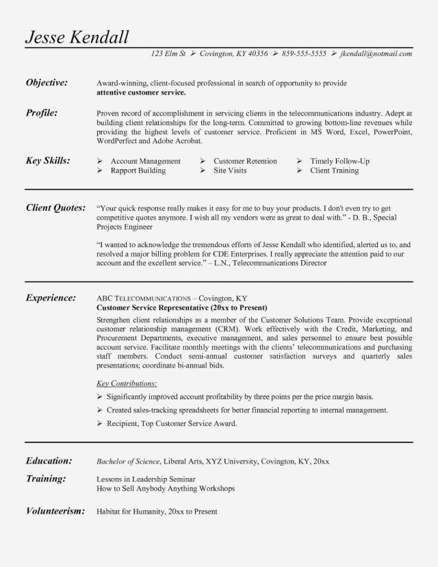 The Great Resume Examples Format You Must Know - wikiresume.com