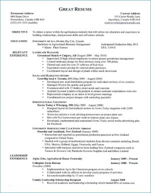 Great Resume Examples Perfect Resume Template Awesome A Perfect Resume Example Resume