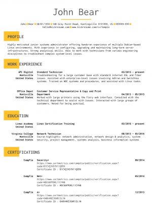 Great Resume Examples Resume Examples Real People Junior Administrator Resume Example