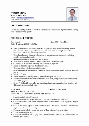 Great Resume Examples Sample Of Great Resume Bad Resume Examples Pdf Superb Great Resume