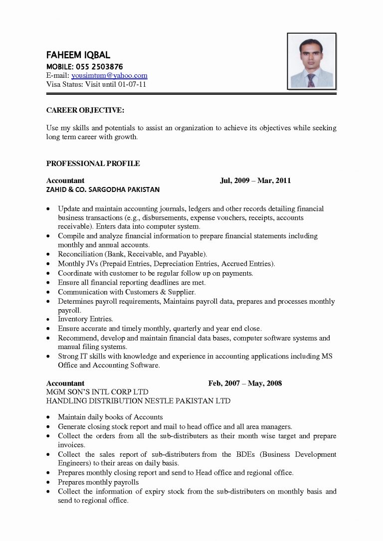 The Great Resume Examples Format You Must Know - wikiresume.com