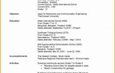 High School Resume Template Cv Template For High School Student 3737f741e494f3e39e2c6c302c446df6 high school resume template|wikiresume.com