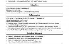 High School Resume Template High School Grad Veterinary Assistant high school resume template|wikiresume.com
