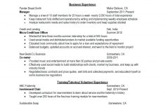 High School Resume Template Resume Template Word Functional Awesome Job Templates high school resume template|wikiresume.com