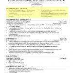 How To Make A Good Resume Professional Profile Bullet Form1 how to make a good resume|wikiresume.com