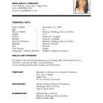 How To Make A Resume Simple Job Resume Template Resume Paper Ideas Intended For How To Make A Simple Job Resume How To Make An Resume how to make a resume|wikiresume.com