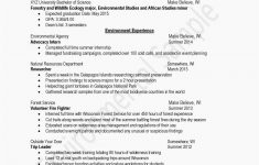 How To Type A Resume How To Type Resume Beautiful Download Fresh Types Resumes Of How To Type Resume how to type a resume|wikiresume.com