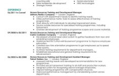Human Resources Resume Training And Development Human Resources Contemporary human resources resume|wikiresume.com