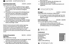 Job Resume Examples Tailored Reusme 1 job resume examples|wikiresume.com