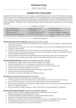 Marketing Resume Examples  Marketing Manager Resume Samples And Writing Guide 10 Examples