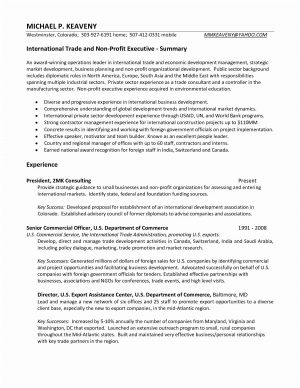 Marketing Resume Examples  Sample Resume For Vice President Sales And Marketing Valid Sales
