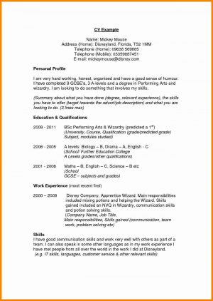 Professional Profile Resume Example  Example Profile Resume Examples New For Marketing Events Sample