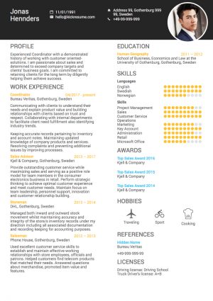 Professional Profile Resume Example  How To Write A Professional Summary On A Resume Examples