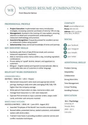 Professional Profile Resume Example  How To Write A Resume Profile Examples Writing Guide Rg