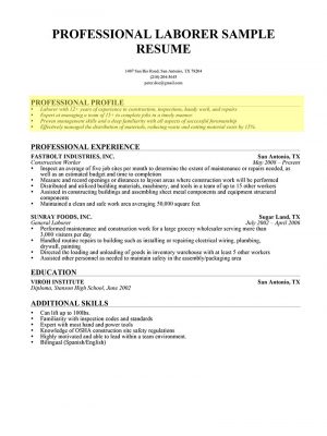 Professional Profile Resume Example  Janitor Professional Profile1 11 Personal Profile Resume Examples