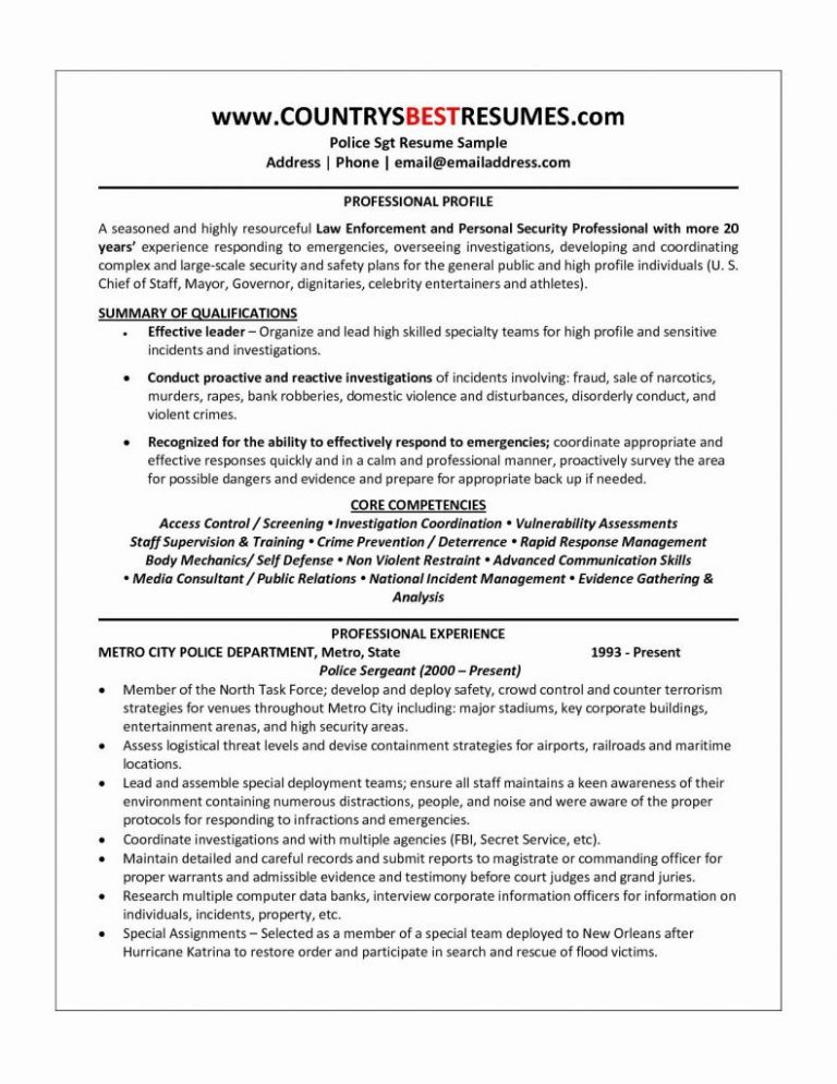 Professional Profile Resume Example Professional Profile Resume Examples Fresh 21 Unique Resume 5412