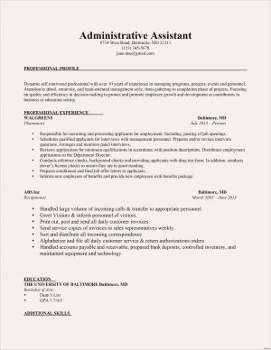 Professional Profile Resume Example  Profile For Resume Example Profiles Fresh Examples Unique Cto
