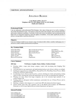 Professional Profile Resume Example  Profile Resumes Examples Of A For Resume Great Example 3 Tjfs