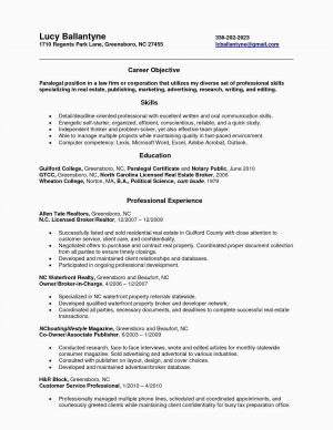 Professional Profile Resume Example  Real Resume Examples New Real Estate Panies Format Profile Resume