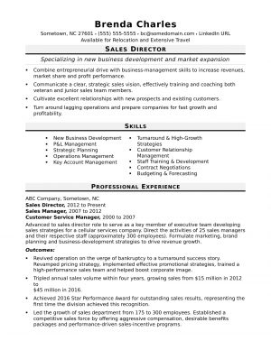 Professional Profile Resume Example  Sales Director Resume Sample Monster