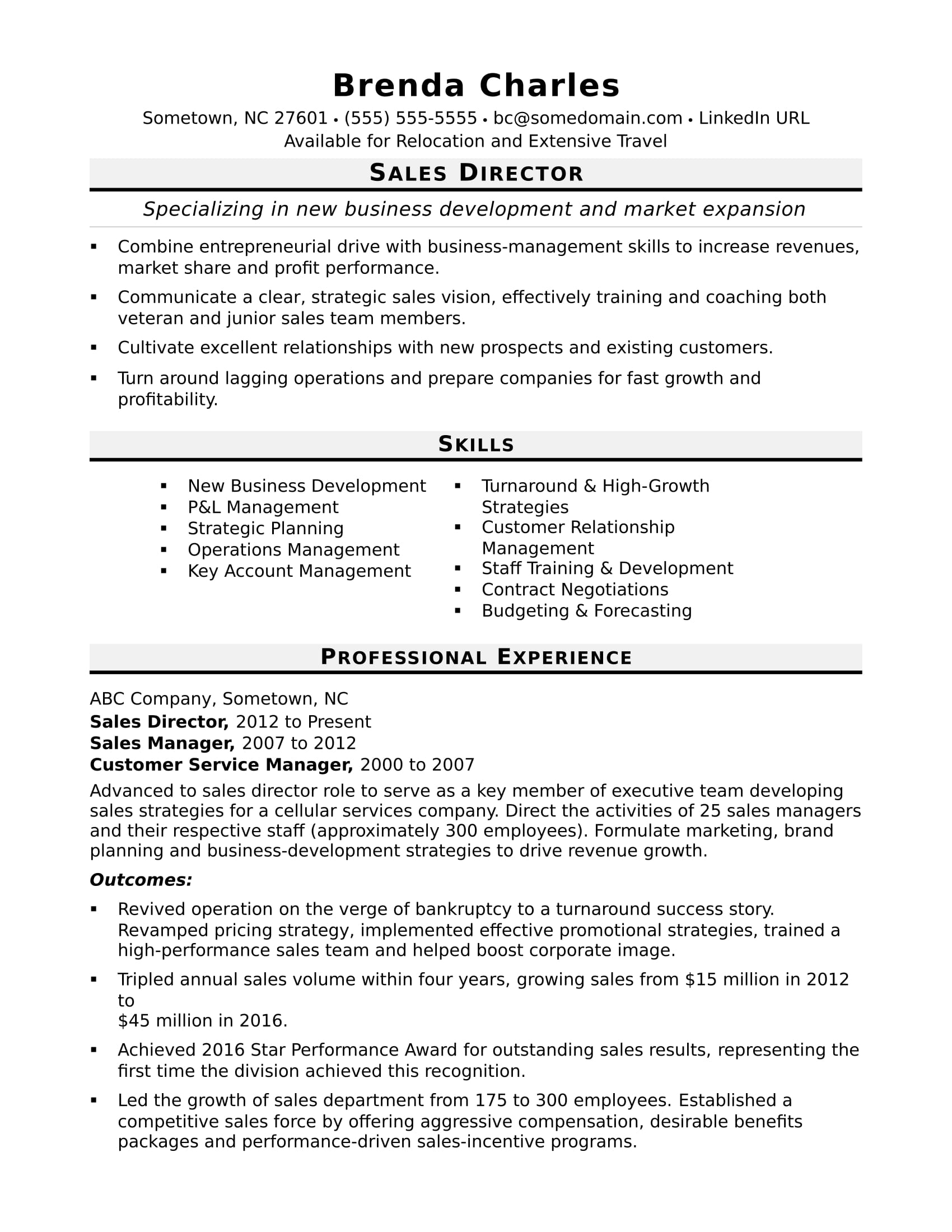 Professional Profile Resume Example  Sales Director Resume Sample Monster