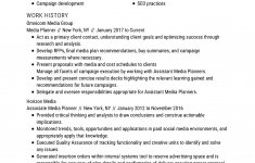 Professional Resume Examples Marketing Media Planner professional resume examples|wikiresume.com