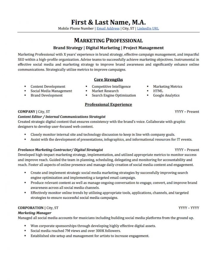 Professional Resume Examples - wikiresume.com