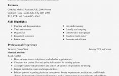 Professional Resume Examples Professional Resume Examples Intriguing Medical Resume Samples With Healthcare Resume Examples Awesome Pictures professional resume examples|wikiresume.com