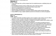 Professional Resume Examples Safety Professional Resume Sample professional resume examples|wikiresume.com