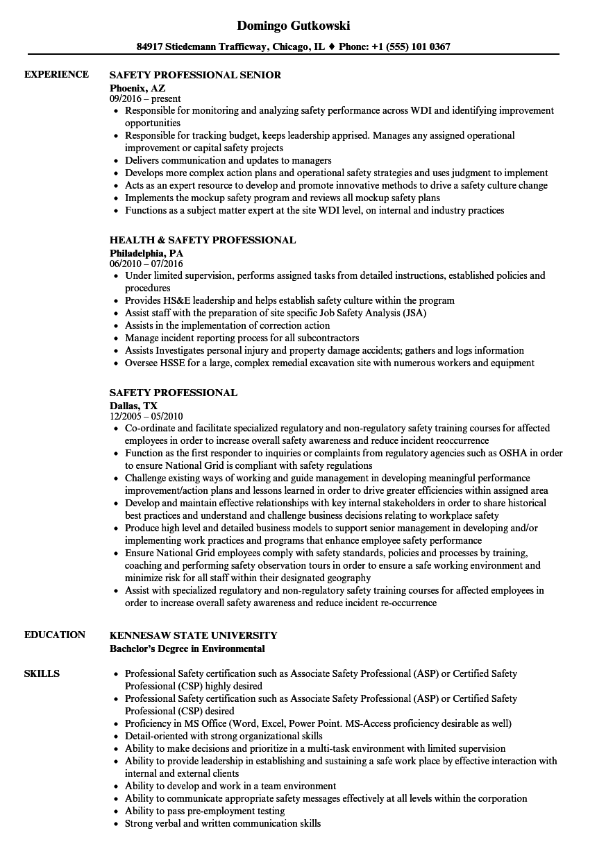 Professional Resume Examples Safety Professional Resume Sample professional resume examples|wikiresume.com