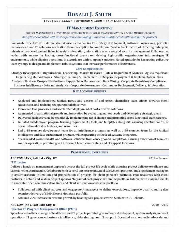 Professional Resume Examples - wikiresume.com