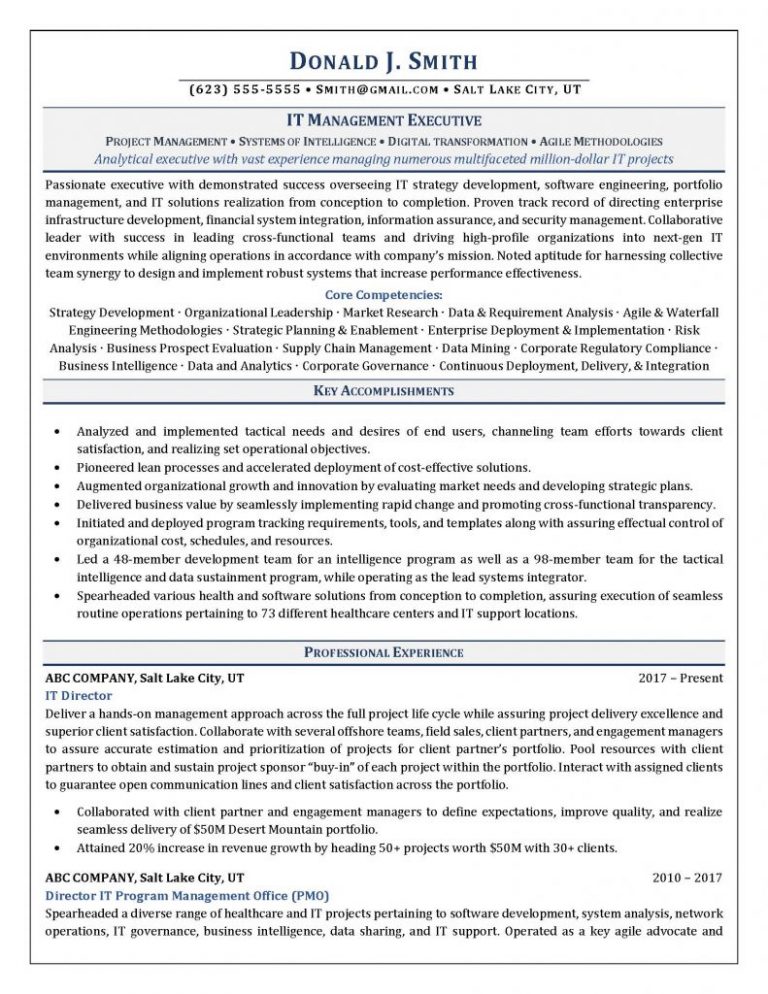 Professional Resume Examples - wikiresume.com