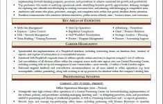 Professional Resume Writers 6 professional resume writers|wikiresume.com