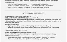 Professional Resume Writers Certified Professional Resume Writers Astonishing Professional Writer Resume Example And Writing Tips Of Certified Professional Resume Writers professional resume writers|wikiresume.com