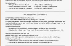 Professional Resume Writers Free Resume Writing Services professional resume writers|wikiresume.com