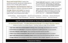 Professional Resume Writers Nonprofit Executive Resume Sample 3 professional resume writers|wikiresume.com