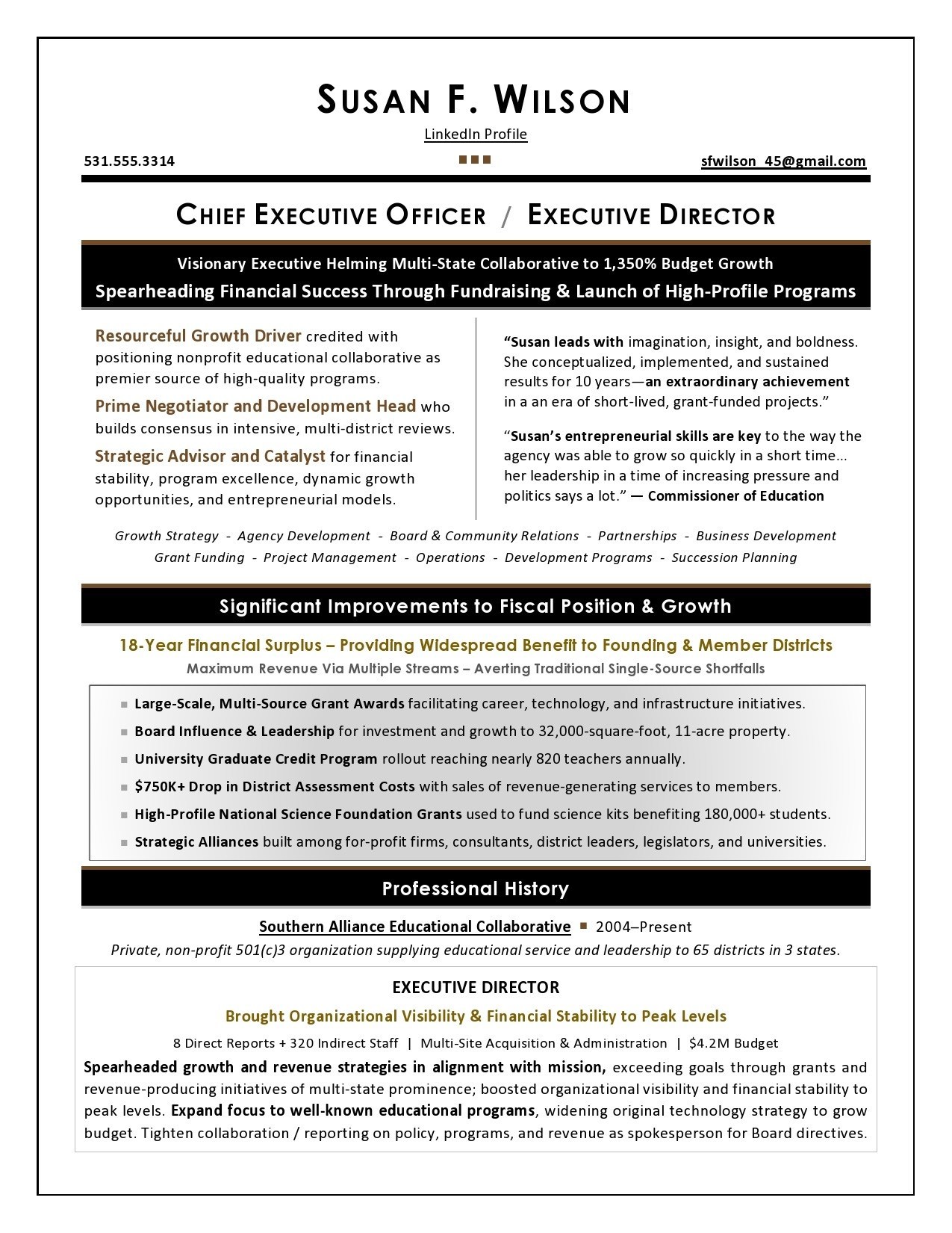 Professional Resume Writers Nonprofit Executive Resume Sample 3 professional resume writers|wikiresume.com