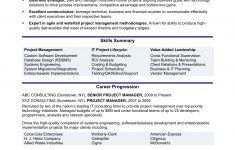 Project Manager Resume It Project Manager Experienced project manager resume|wikiresume.com
