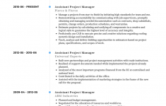 Project Manager Resume Project Manager Cv Examples Air project manager resume|wikiresume.com