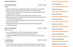 Project Manager Resume Project Manager Cv Examples Chloe project manager resume|wikiresume.com