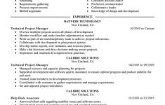 Project Manager Resume Technical Project Manager Computers Technology Executive 1 project manager resume|wikiresume.com
