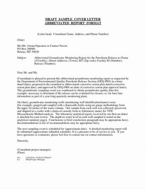 Recommendation Letter Template Sample Recommendation Letter For Project Manager