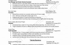 Resume Objective Example Fast Food Resume Objective resume objective example|wikiresume.com