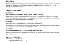 Resume Objective Example Volunteer Objective Examples Cv Resume Objective Samp Resume Objective Examples For Customer Service As Job Resume Examples resume objective example|wikiresume.com