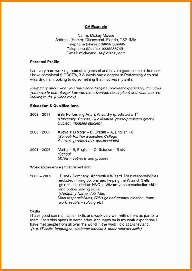 Resume Profile Examples Always Include These Details to Make the Resume ...