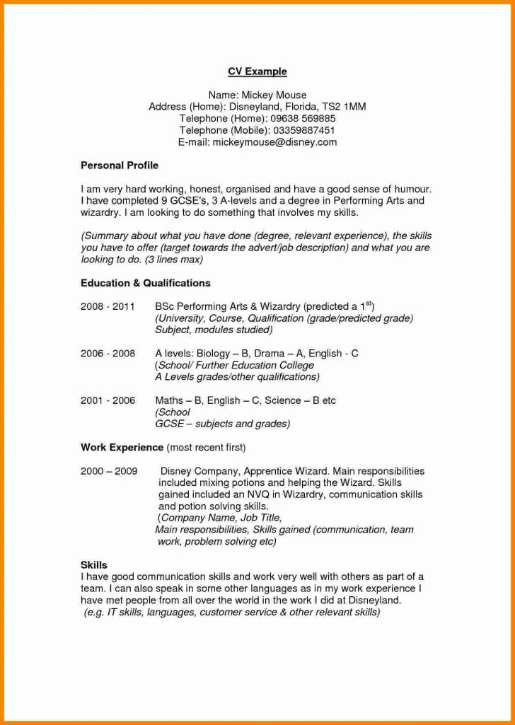 Resume Profile Examples Always - Resume Profile Examples 9 Cv Profile Examples Theorynpractice 728x1025 