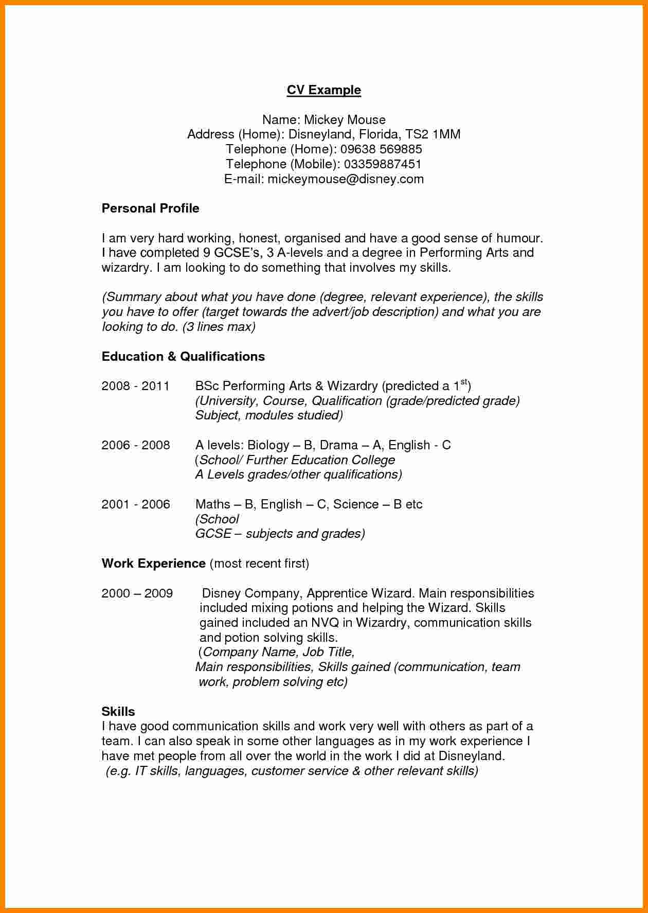Resume Profile Examples  9 Cv Profile Examples Theorynpractice